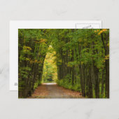 Licht aan het einde van een boomtunnel briefkaart (Voorkant / Achterkant)