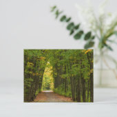 Licht aan het einde van een boomtunnel briefkaart (Staand voorkant)