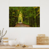 Licht aan het einde van een boomtunnel poster (Keuken)