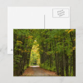 Licht aan het einde van een tunnel van bomen briefkaart (Voorkant / Achterkant)