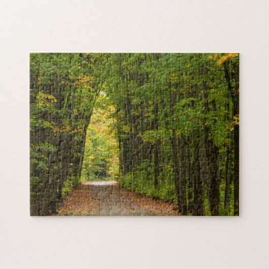 Licht aan het einde van een tunnel van bomen legpuzzel (Horizontaal)