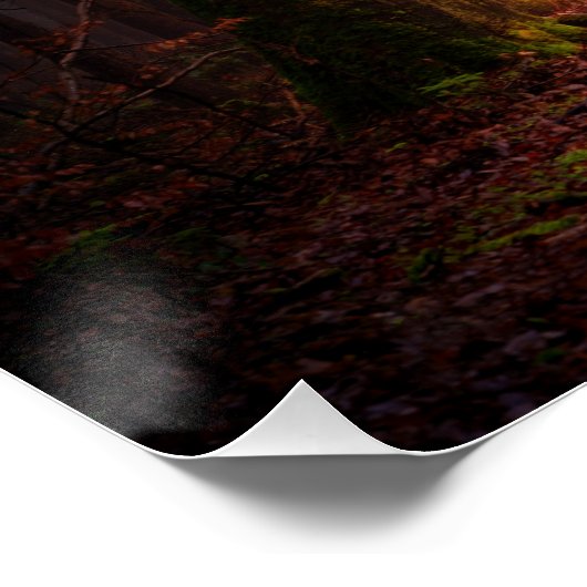 Licht aan het einde van het bos perfect poster (Hoek)