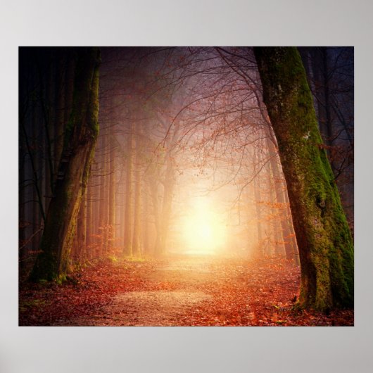Licht aan het einde van het bos poster (Voorkant)