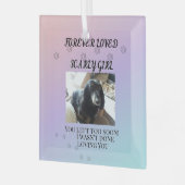 Licht achter de Regenboog-herdenking Glas Ornament (Voorkant links)
