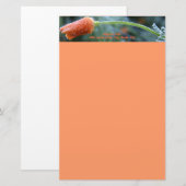 Licht afgedikt California Poppy Briefpapier (Voorkant / Achterkant)