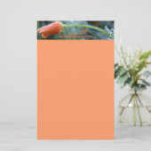 Licht afgedikt California Poppy Briefpapier (Staand voorkant)