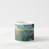 Licht bevroren papaver foto van Californië Espresso Kop (Voorkant)