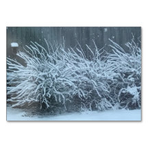 Licht, bijwoord, op sneeuw thema lezing flashcards