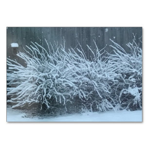 Licht, bijwoord, op sneeuw thema lezing flashcards kaart