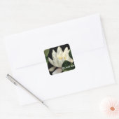 Licht binnen vierkante sticker (Envelop)