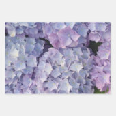 Licht Blauw & Roze Hydrangea Verpakkende Document Inpakpapier Vel (Voorkant 3)