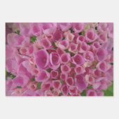 Licht Blauw & Roze Hydrangea Verpakkende Document Inpakpapier Vel (Voorkant 2)