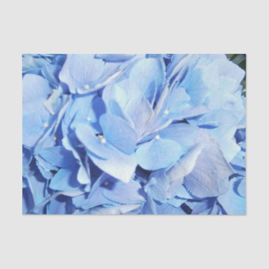 Licht blauwe hydrangea tissuepapier (Voorkant)