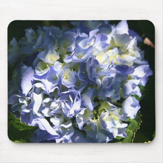 Licht blauwe hydrangeventilator muismat (Voorkant)