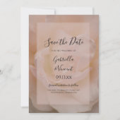 Licht Blush Roze Blindenbruin Weddenschap Sparen d Kaart (Voorkant)