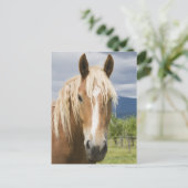 Licht bruine paard briefkaart (Staand voorkant)