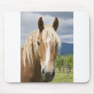 Licht bruine paard muismat