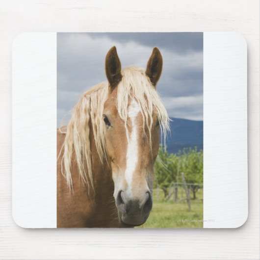 Licht bruine paard muismat (Voorkant)