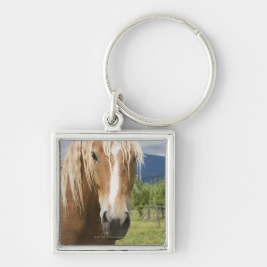 Licht bruine paard sleutelhanger (Voorkant)