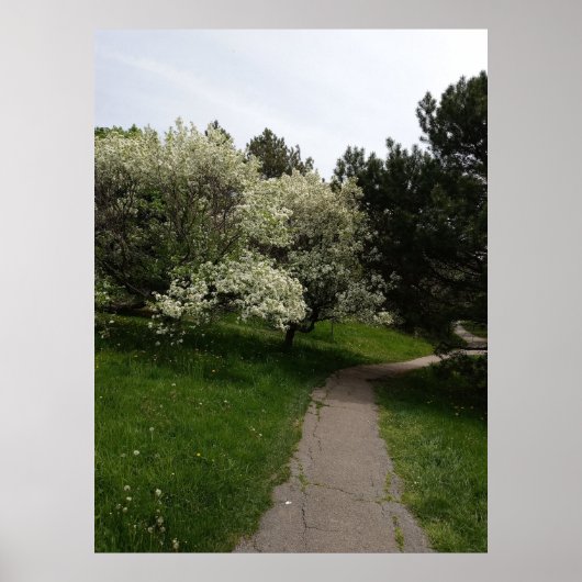 Licht, donker en tegenovergestelde kanten poster (Voorkant)