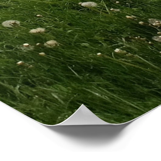 Licht, donker en tegenovergestelde kanten poster (Hoek)