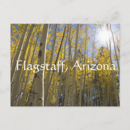 Licht door de Aspen bomen. Flagstaff, Arizona Briefkaart