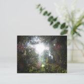 Licht door de bomen briefkaart (Staand voorkant)