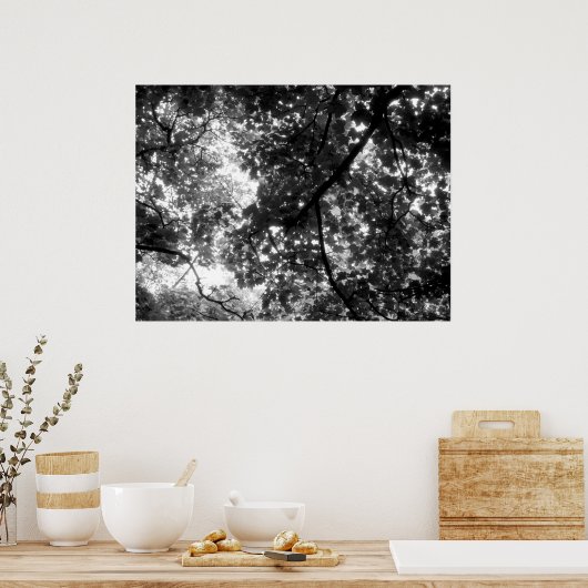 Licht door de bomen poster (Keuken)