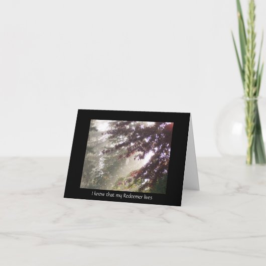 Licht door pruimenboom sympathiekaart kaart (Voorkant)