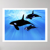 LICHT ECHO PRINT (Voorkant)