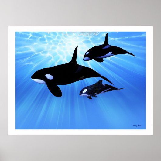 LICHT ECHO PRINT (Voorkant)