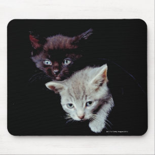 Licht- en donkere Kittens Muismat