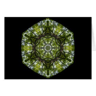 Licht en patroon in de bladeren