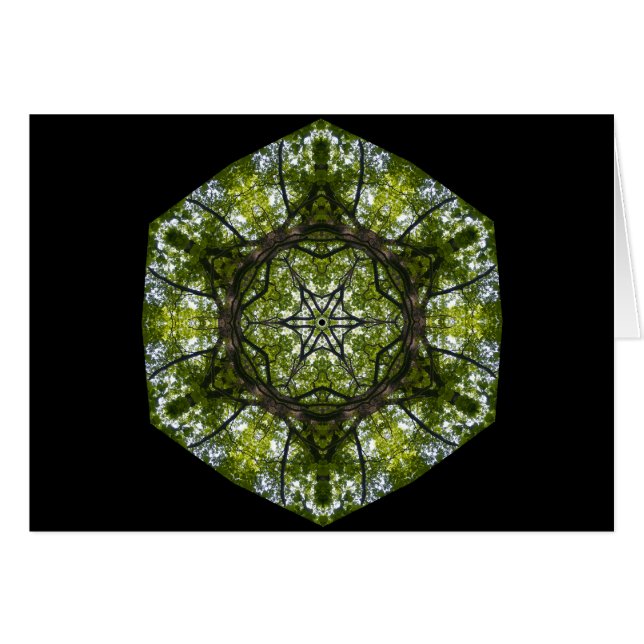 Licht en patroon in de bladeren (Voorkant Horizontaal)