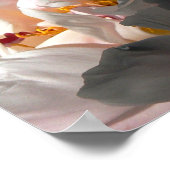 Licht en schaduw 2 poster (Hoek)