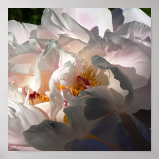 Licht en schaduw 2 poster