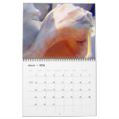 Licht en Schaduw Kalender (Mar 2026)