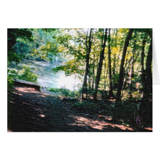 Licht en schaduwen 2 (Voorkant Horizontaal)