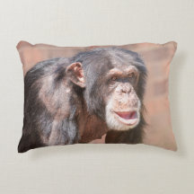 Licht en stilte - Chimpansee Stance