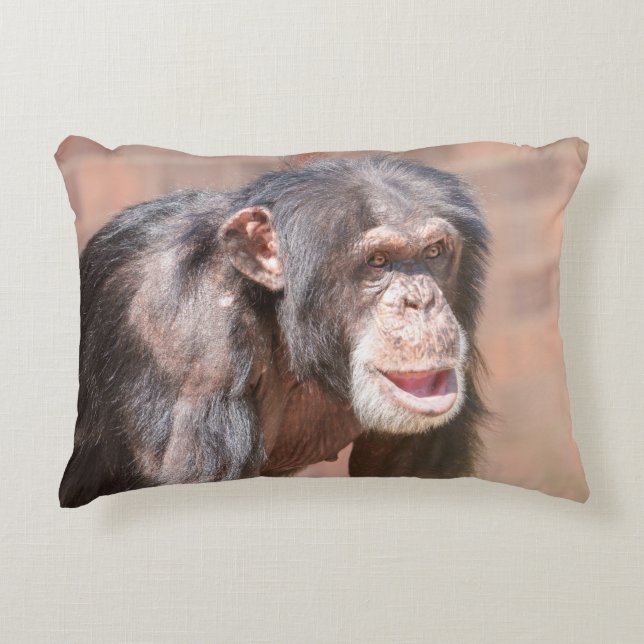Licht en stilte - Chimpansee Stance Accent Kussen (Voorkant)