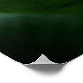 Licht en varens poster (Hoek)