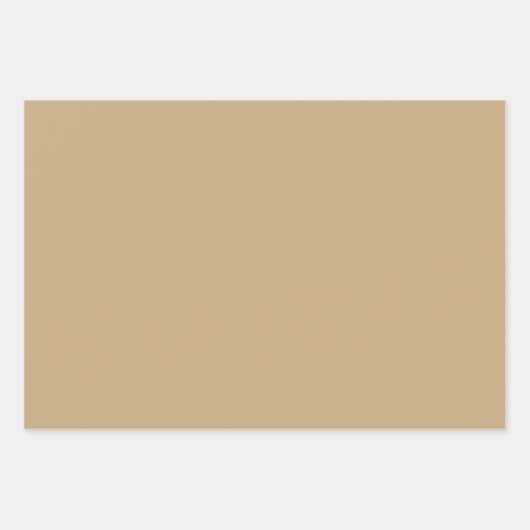 Licht Frans Beige Solid Color Inpakpapier Vel (Voorkant 2)