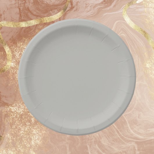 Licht Frans Grijs Effen Kleur Papieren Bordje