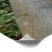 Licht Gebogen Poster (Hoek)
