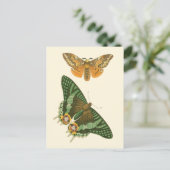 Licht geordende vlinderschildering briefkaart (Staand voorkant)