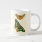 Licht geordende vlinderschildering grote koffiekop (Rechts)