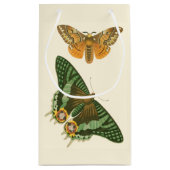 Licht geordende vlinderschildering klein cadeauzakje (Achterkant)