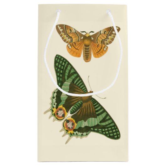 Licht geordende vlinderschildering klein cadeauzakje (Achterkant)