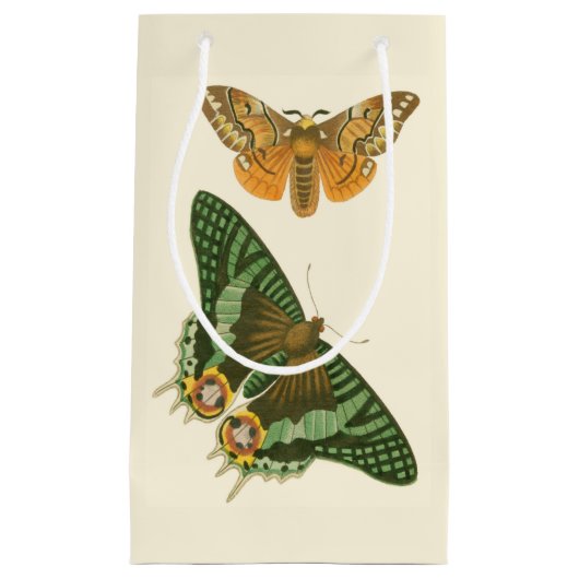 Licht geordende vlinderschildering klein cadeauzakje (Voorkant)