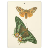 Licht geordende vlinderschildering klembord (Achterkant)